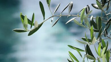 Výber tých najlepších scén s legendárnym Jasonom Luvom