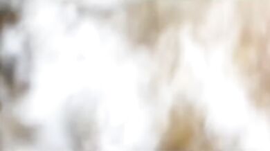 Sused si nechal od mojej manželky poriadne vylízať žalud