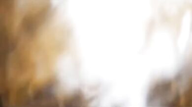 Sused si nechal od mojej manželky poriadne vylízať žalud