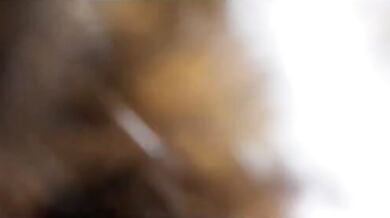 Sused si nechal od mojej manželky poriadne vylízať žalud