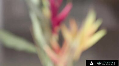 Kompilácia horkokrvných masérok zakončená masívnymi výstrekmi na ich kozy