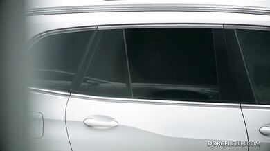 Jebanie Lany Roy dvoma penismi