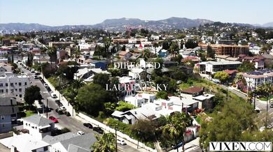 Kočka totálne prepadla obriemu nástroju svojho nového objaviteľa