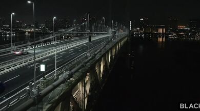 Madi Collins a jej prvé sukanie s partiou černochov, ktorí ju vymrdali takmer do bezvedomia