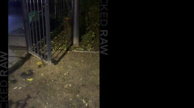 Ashby Winter a Lily Blossom milujú kontrast svojej svetlej kože a masívneho čierneho macka